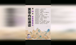 黄帝内经视频,中医养生之道揭秘